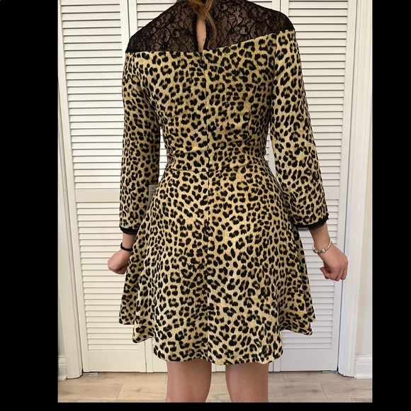 ZARA LEOPARD PRINT DRESS WITH BLACK LACE DETAIL size XS - Picture 6 of 6